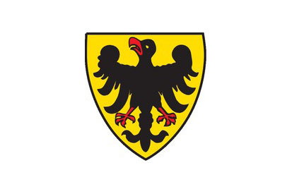 Bandera Sinsheim