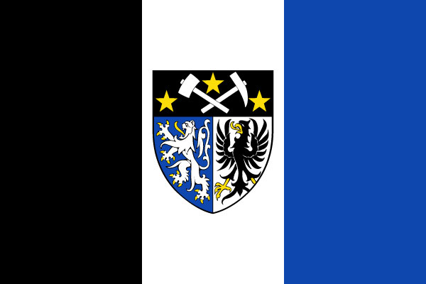 Bandera La Calamine