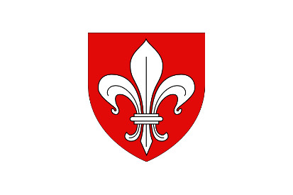 Bandera Lille