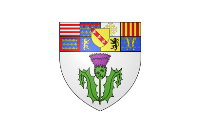 Bandera Nancy