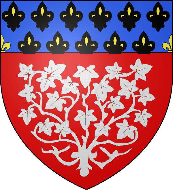 Bandera Amiens
