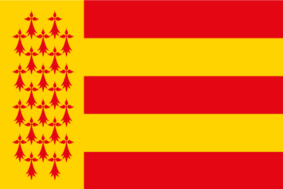 Bandera Pays Bigouden