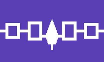 Bandera Confédération iroquoise