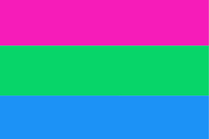 Bandera Polisexual