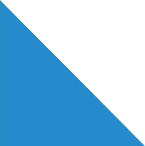 Bandera Canton de Zurich