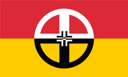 Bandera Healing World Flag