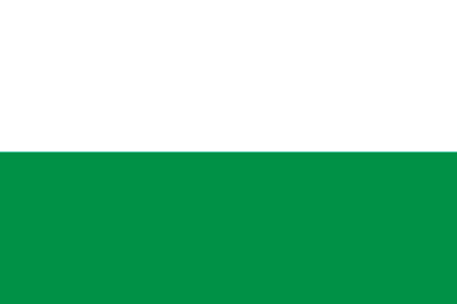 Bandera Tegueste oficial