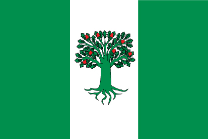 Bandera A Cañiza