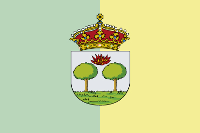 Bandera Aldeamayor de San Martín