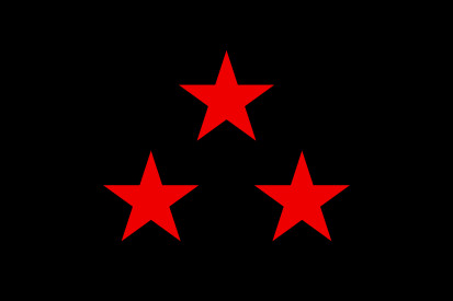 Bandera Nuevo Rico