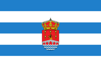Bandera Viveiro con escudo