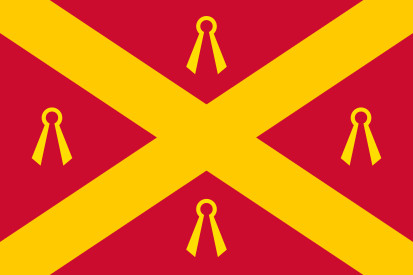 Bandera Wijchen