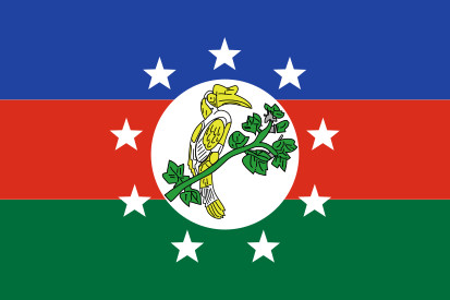 Bandera Chin