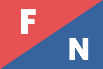 Bandera Fuerza Nueva