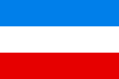 Bandera Mannheim