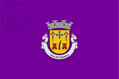 Bandera Palmela