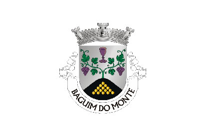 Bandera Baguim do Monte