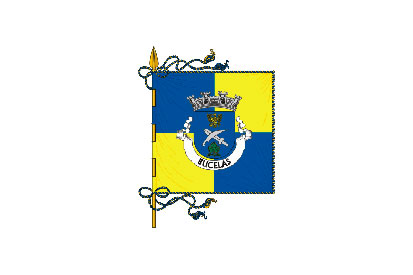Bandera Bucelas