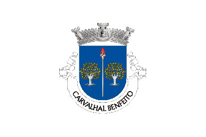 Bandera Carvalhal Benfeito