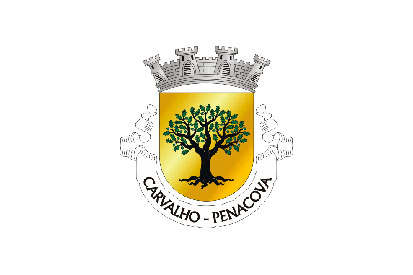 Bandera Carvalho (Penacova)