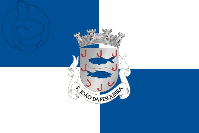 Bandera São João da Pesqueira