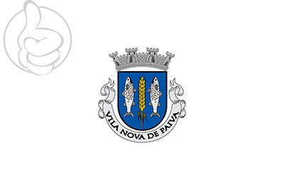 Bandera Vila Nova de Paiva