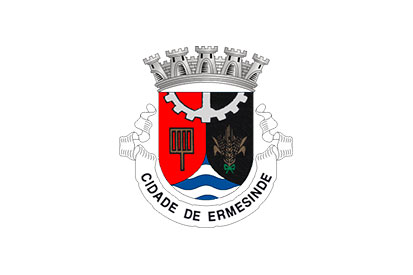 Bandera Ermesinde