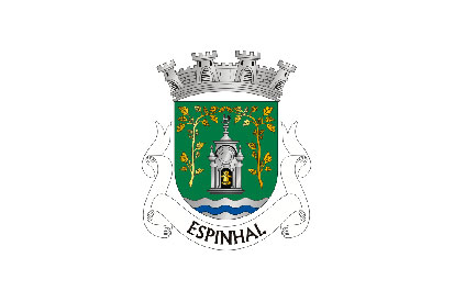 Bandera Espinhal