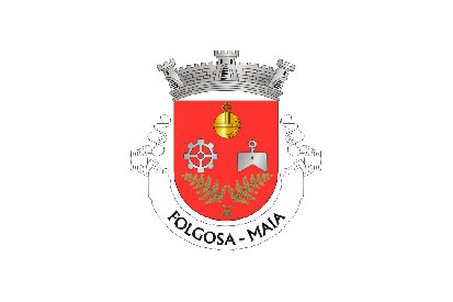 Bandera Folgosa (Maia)
