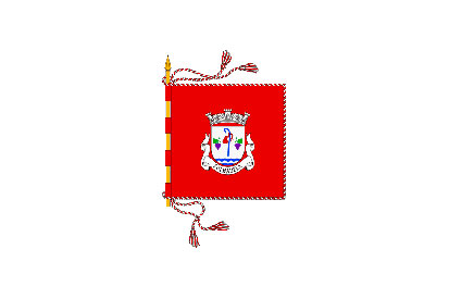 Bandera Folhadela
