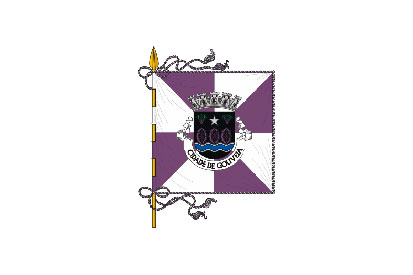 Bandera Gouveia