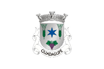 Bandera Guadalupe (Santa Cruz da Graciosa)