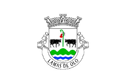 Bandera Lamas de Olo