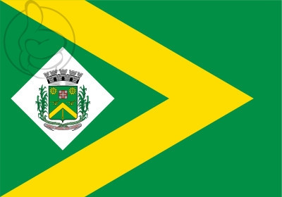 Bandera Santa Bárbara d'Oeste
