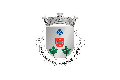 Bandera Nossa Senhora da Piedade