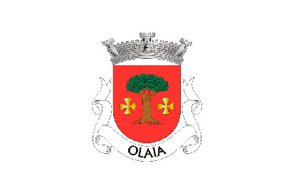Bandera Olaia