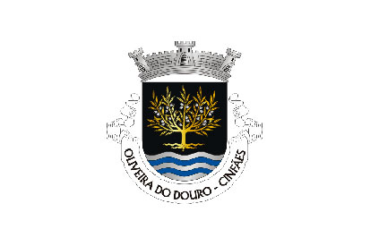 Bandera Oliveira do Douro (Cinfães)