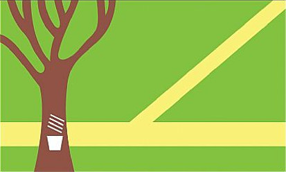 Bandera Assis Brasil