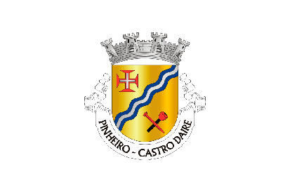 Bandera Pinheiro (Castro Daire)