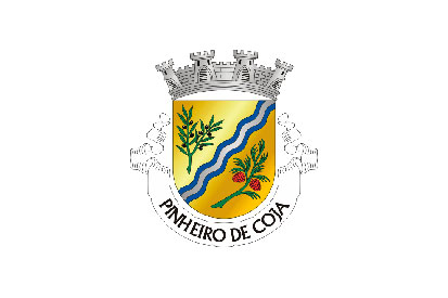 Bandera Pinheiro de Coja