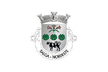 Bandera Salga