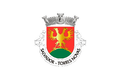 Bandera Salvador (Torres Novas)