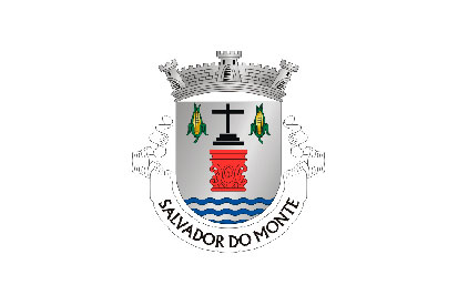 Bandera Salvador do Monte