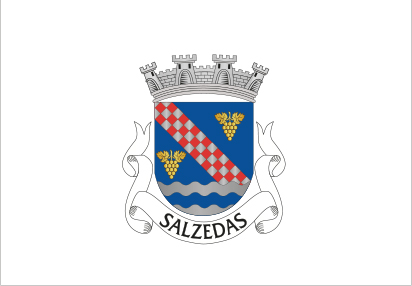 Bandera Salzedas