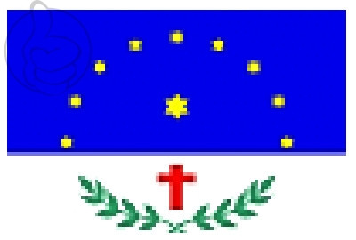 Bandera Salgueiro