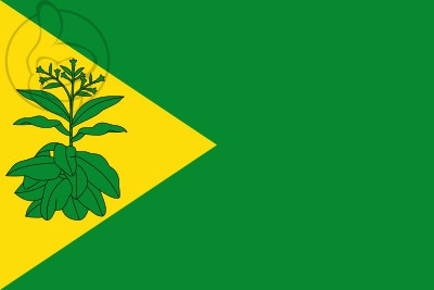 Bandera Valderrubio