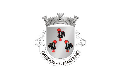 Bandera São Martinho de Galegos