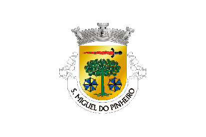 Bandera São Miguel do Pinheiro