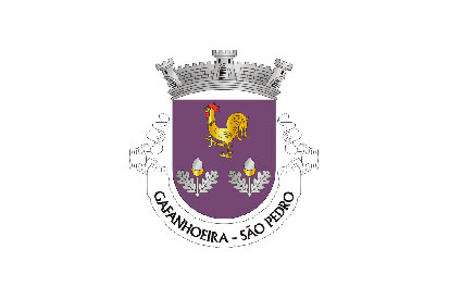 Bandera São Pedro de Gafanhoeira