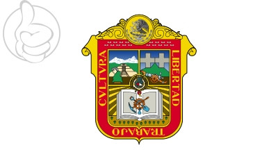 Bandera Estado de México